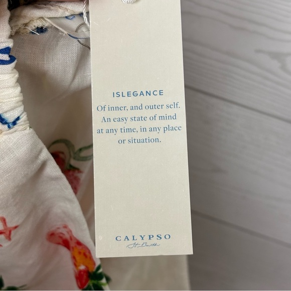 Calypso St. Barth Party Time Linen Blend Novelty Print Maxi Skirt NWT - Picture 7 of 9